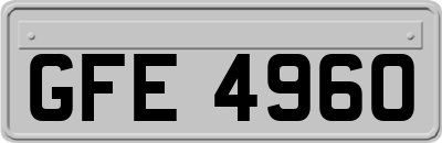 GFE4960