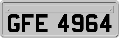 GFE4964