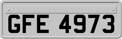 GFE4973