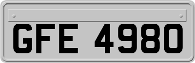 GFE4980