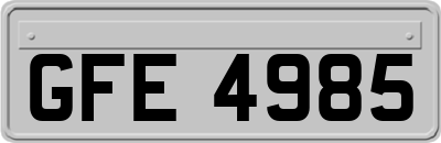 GFE4985
