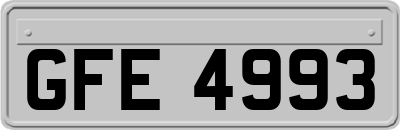 GFE4993