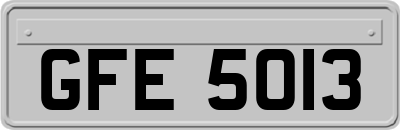 GFE5013