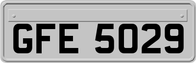 GFE5029