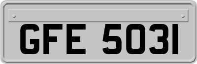 GFE5031