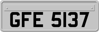 GFE5137