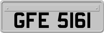 GFE5161