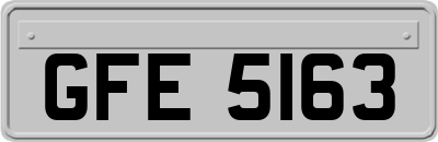 GFE5163