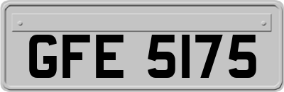 GFE5175