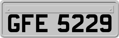 GFE5229