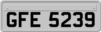 GFE5239