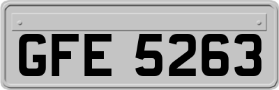 GFE5263