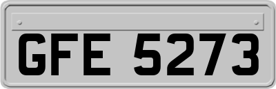 GFE5273