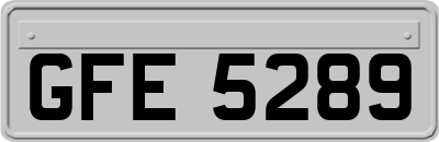 GFE5289