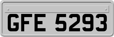 GFE5293