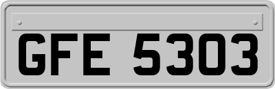 GFE5303