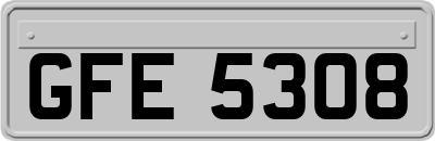 GFE5308