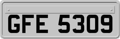 GFE5309