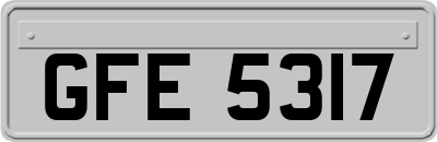 GFE5317