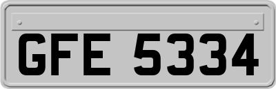 GFE5334