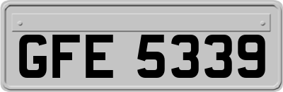 GFE5339
