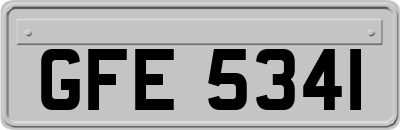GFE5341
