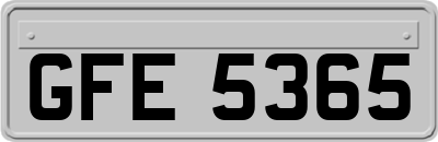 GFE5365