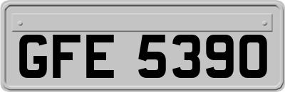 GFE5390