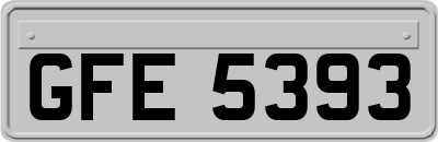GFE5393