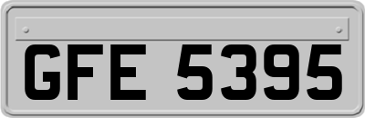 GFE5395