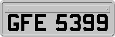 GFE5399