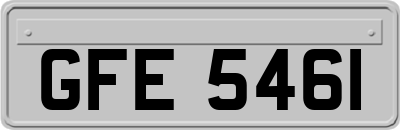 GFE5461