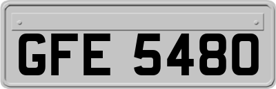 GFE5480