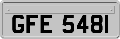 GFE5481