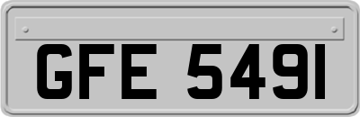 GFE5491