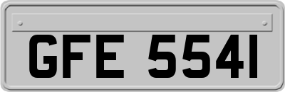 GFE5541