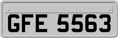 GFE5563