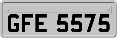 GFE5575