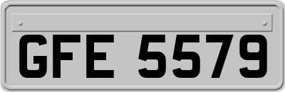 GFE5579