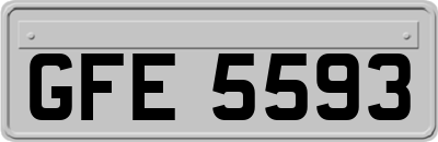 GFE5593
