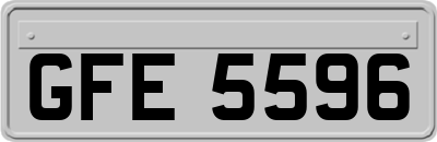 GFE5596