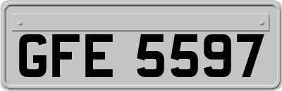 GFE5597