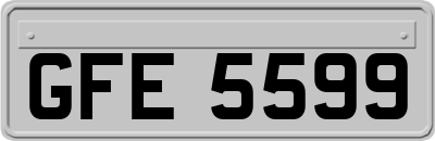 GFE5599