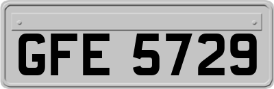 GFE5729