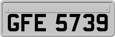 GFE5739