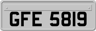 GFE5819