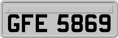 GFE5869
