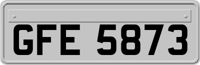 GFE5873