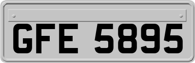 GFE5895