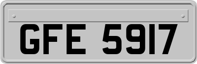 GFE5917